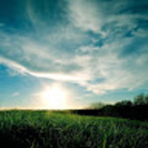 Meet your Posher, Kayleanna